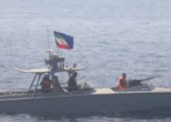 হরমুজ প্রণালি পার হওয়ার সময় ভারতীয় পতাকাবাহী দুটি জাহাজে হামলা, উদ্বেগ প্রকাশ ভারতের