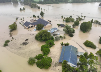 ওয়েলিংটনে জরুরি অবস্থা, ভয়াবহ বন্যায় বিপর্যস্ত নিউজিল্যান্ড