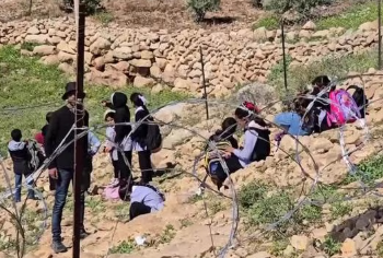 কাঁটাতারে বন্ধ স্কুলের পথ, পশ্চিম তীরে শিশুদের ‘ফ্রিডম স্কুল’ আন্দোলন