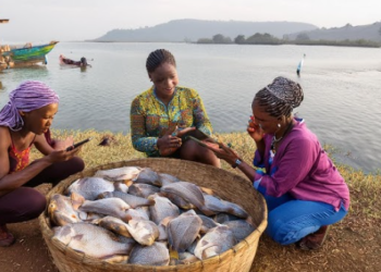 জলবায়ু পরিবর্তনের চাপে লেক ভিক্টোরিয়ায় নারীদের মাছ ধরা, ভাঙছে দীর্ঘদিনের সামাজিক নিষেধ