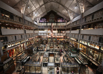 অক্সফোর্ডের ৭৫০ বছরের মধ্যযুগীয় গ্রন্থাগার: ইতিহাসের এক জীবন্ত টাইম ক্যাপসুল