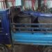 চট্টগ্রামে গুদামে অভিযান, ২২ হাজার লিটার ভোজ্যতেল জব্দ
