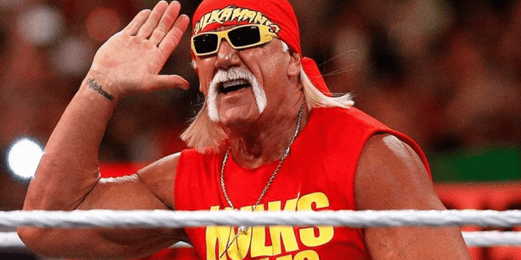 নেটফ্লিক্স সিরিজে হাল্ক হোগানের উত্থান ও পতনের নেপথ্য গল্প