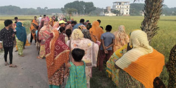 বেনাপোলে ধানখেত থেকে অজ্ঞাত ব্যক্তির লাশ উদ্ধার