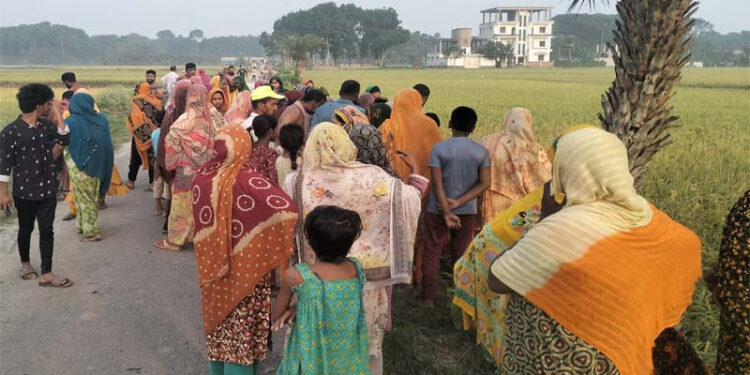 বেনাপোলে ধানখেত থেকে অজ্ঞাত ব্যক্তির লাশ উদ্ধার