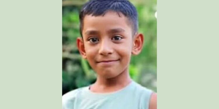 আম পাড়তে গিয়ে মাদ্রাসাছাত্রের মর্মান্তিক মৃত্যু