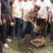 জিয়া খালে কোদাল হাতে মাটি কাটলেন প্রধানমন্ত্রী