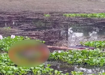 মহেশপুর সীমান্তে চার দিনে দুই মরদেহ উদ্ধার