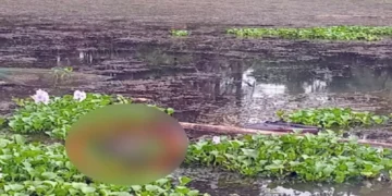 মহেশপুর সীমান্তে চার দিনে দুই মরদেহ উদ্ধার