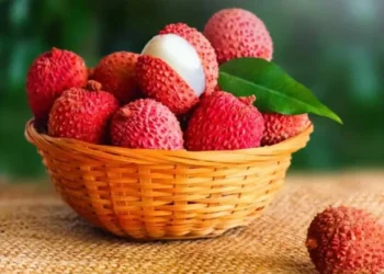 লিচু কেনার আগে জেনে নিন!