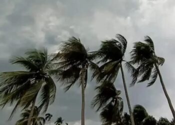 রাতের মধ্যে ঢাকাসহ ১১ অঞ্চলে ঝড়ের আভাস