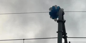 মেট্রোরেলের বৈদ্যুতিক লাইনে বেলুন, সাময়িক বন্ধের পর ফের চালু