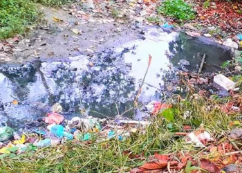 তানোরে মশার যন্ত্রণায় অতিষ্ঠ পৌরবাসী, নিধনের কোনো উদ্যোগ নেই
