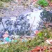 তানোরে মশার যন্ত্রণায় অতিষ্ঠ পৌরবাসী, নিধনের কোনো উদ্যোগ নেই