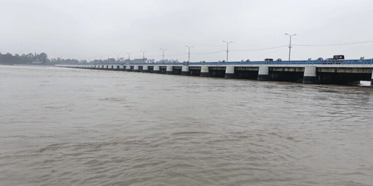 তিস্তায় তীব্র ঢল, ১১ জেলায় ২০ হাজার পরিবার পানিবন্দী