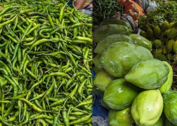 ঊর্ধ্বমুখী বাজার দর, কাঁচামরিচের কেজি ৪০০ টাকা