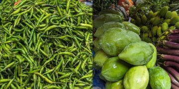 ঊর্ধ্বমুখী বাজার দর, কাঁচামরিচের কেজি ৪০০ টাকা