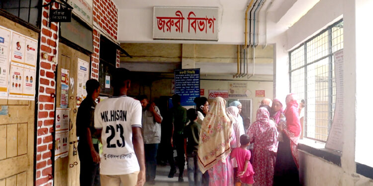 ইনডাকশন চুলায় বিদ্যুতায়িত হয়ে গৃহবধূর মৃত্যু
