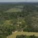 ব্রাজিলের আমাজনে দাবানলে ক্ষতিগ্রস্ত এলাকা রেকর্ড পরিমাণ কমেছে, আশার বার্তা পরিবেশবিদদের
