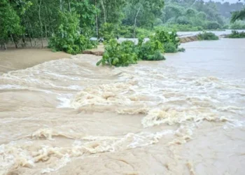 ১৩ অঞ্চলে নদীবন্দরে ১ নম্বর সতর্কতা