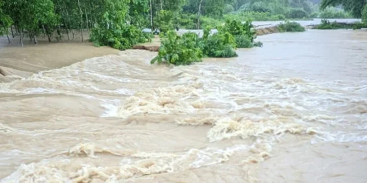 ১৩ অঞ্চলে নদীবন্দরে ১ নম্বর সতর্কতা