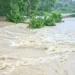 ১৩ অঞ্চলে নদীবন্দরে ১ নম্বর সতর্কতা
