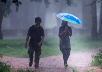 বঙ্গোপসাগরে লঘুচাপ, দেশের বিভিন্ন অঞ্চলে বৃষ্টির পূর্বাভাস