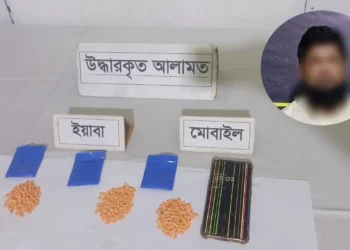 দক্ষিণ কেরাণীগঞ্জে ৫৯৬ পিস ইয়াবাসহ মাদক কারবারি গ্রেফতার